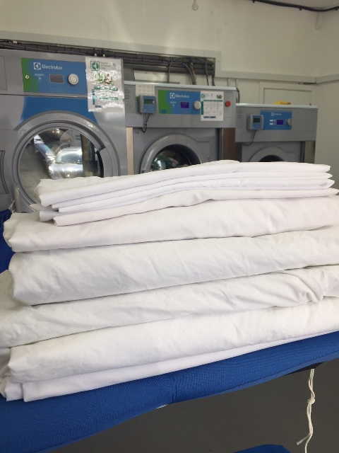 Eco friendly Dry Cleaners & Laundry in Chertsey For Sale for Sale
