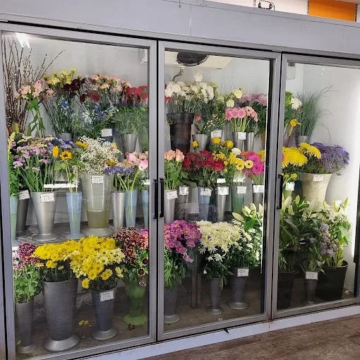 Old Established Florist in Kent For Sale